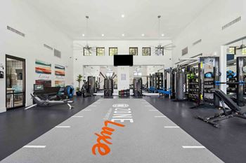 a fully equipped gym with cardio equipment and weights
